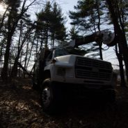 Directing your Viewerâ€™s Eyes with Lightroom to Make a More Powerful Image