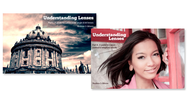 Understanding Lenses ebook bundle