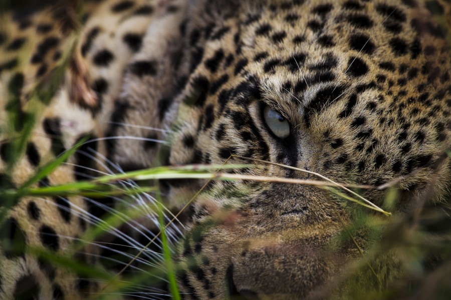 Photograph Awful Close by Chris Fischer on 500px
