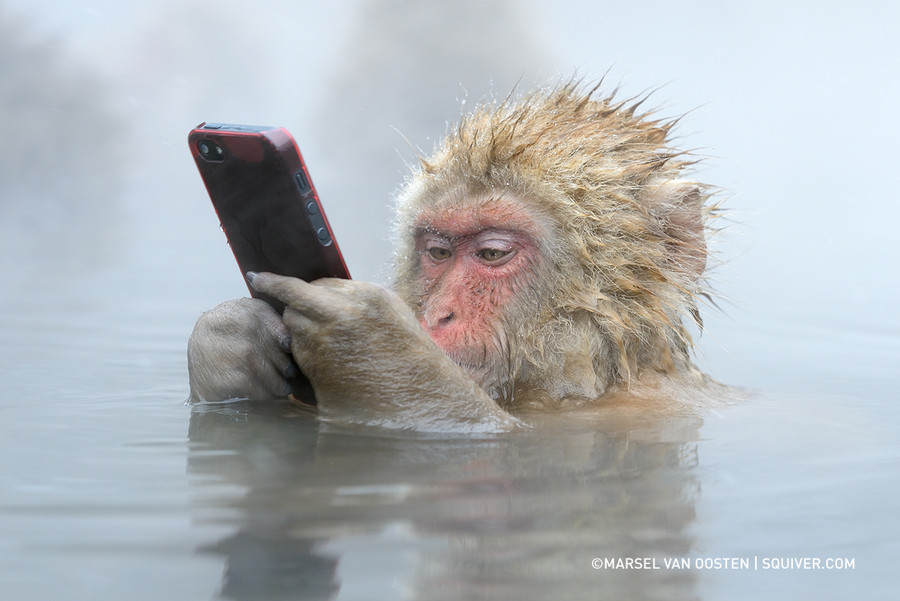Photograph Facebook Update by Marsel van Oosten on 500px