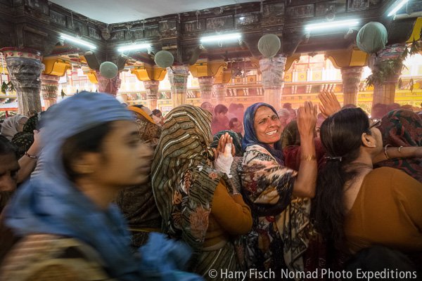 DPS _A hair-5636.jpg DPS A hair 5636