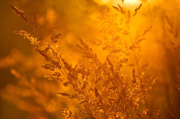 Good composition can make any subject interesting