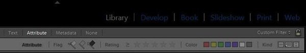 Lightroom FilterBar Attribute 03