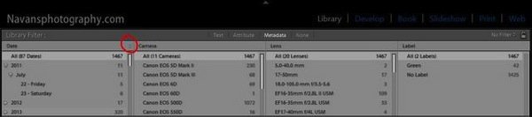 Lightroom FilterBar Metadata 04