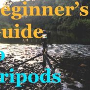 Beginnerâ€™s Guide to Tripods