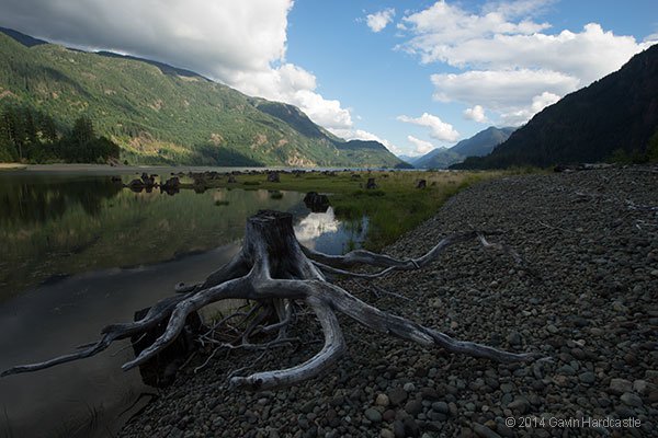 buttle-lake-the-hand-unprocessed