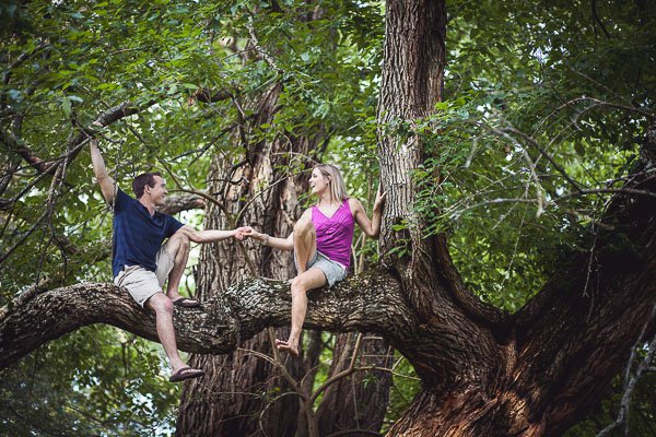 Engaged couple in a tree