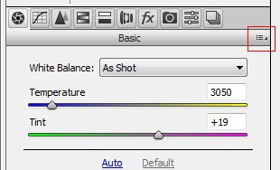 Sve Your Adobe Camera RAW Defaults