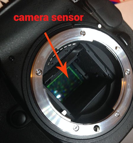 sensor1W