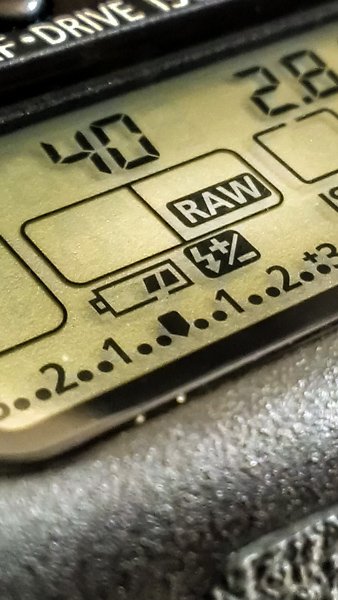 shootraw.jpg Shootraw