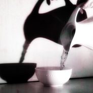 Weekly Photography Challenge â€“ Shadows