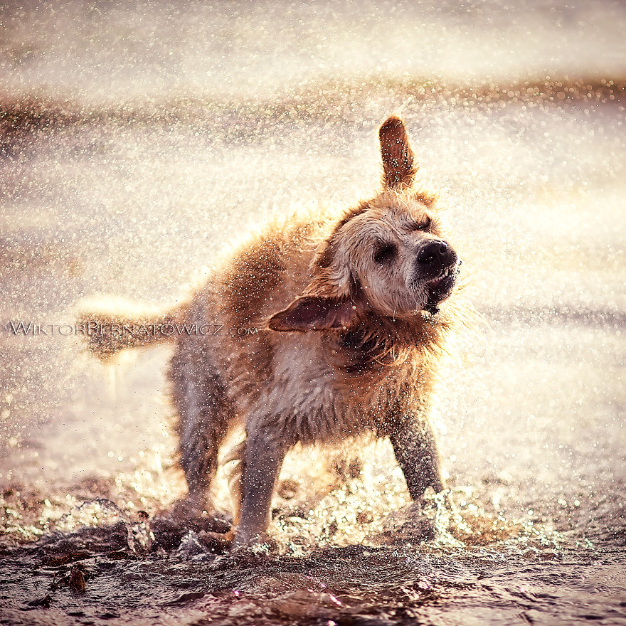 Photograph Oskar by Wiktor Bernatowicz on 500px