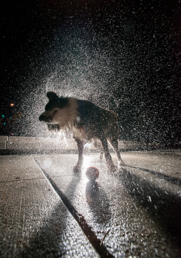 Photograph Shake It Off by Jon Paciaroni on 500px