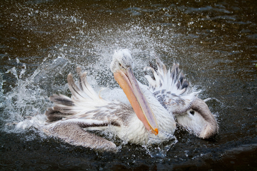 Photograph Bath by Michaela Smidova on 500px