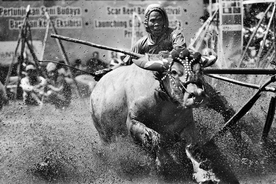 Photograph Mud Rider by Caroline Ryca on 500px