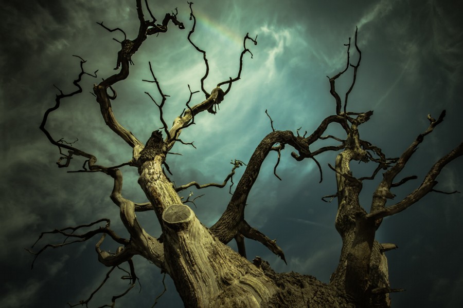 Photograph Titan by Chris Fletcher on 500px