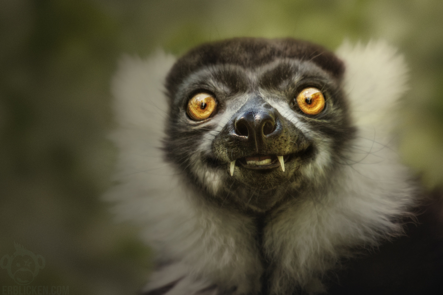 Photograph Little vampire by Manuela Kulpa on 500px