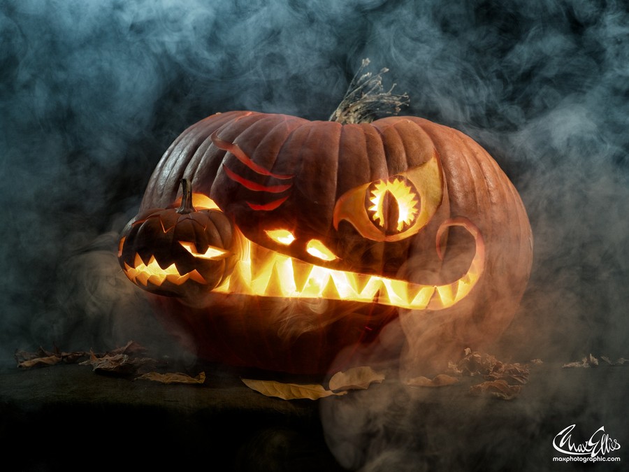 Photograph 2013 Pumpkin by Max Ellis on 500px