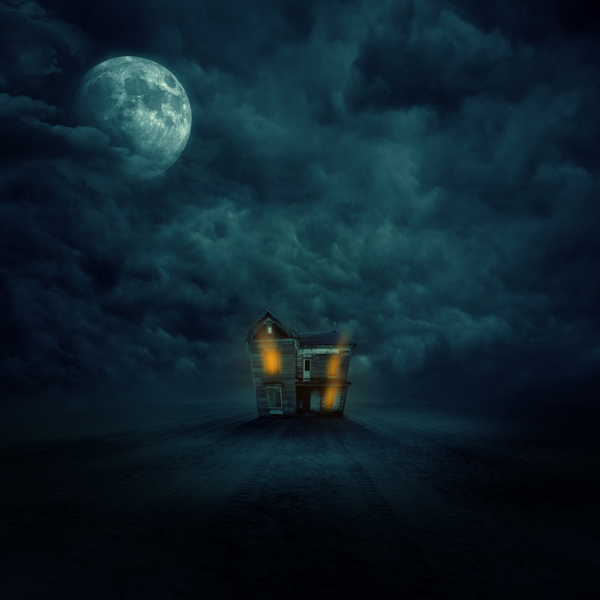 Photograph Moonlight by Zoltan Toth on 500px