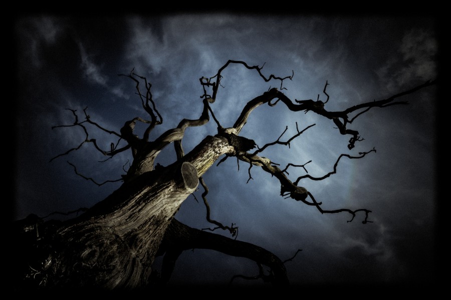 Photograph From the darkness it came by Chris Fletcher on 500px