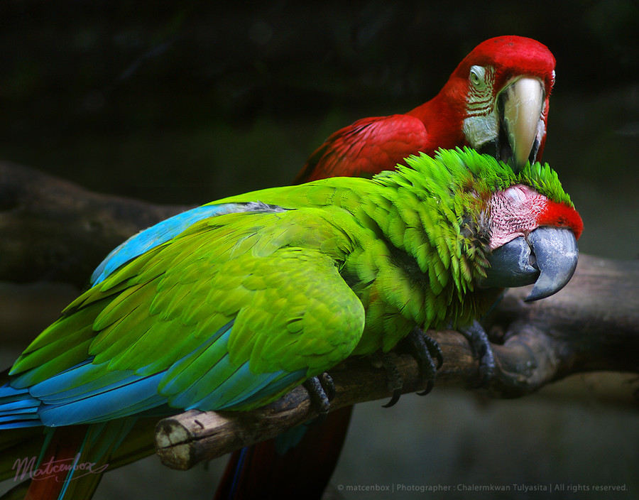 Photograph butter up >.< by Matcenbox  on 500px