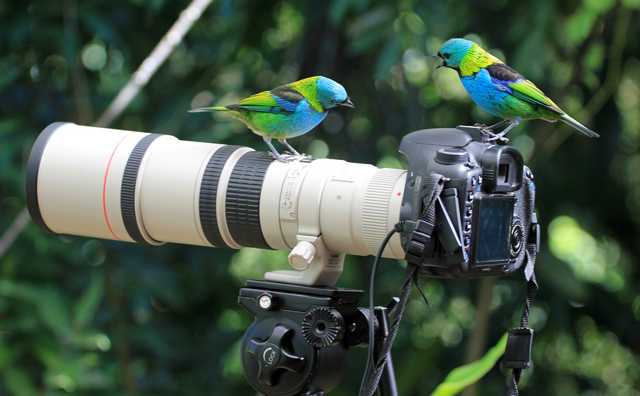 Photograph Discussing!  by Itamar Campos on 500px