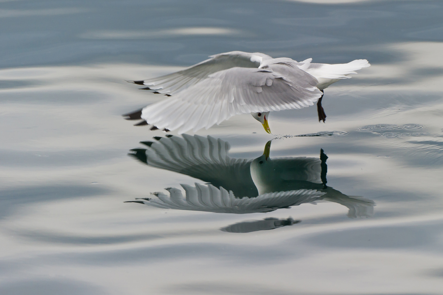 Photograph Mirror. by Geir Magne  Sætre on 500px