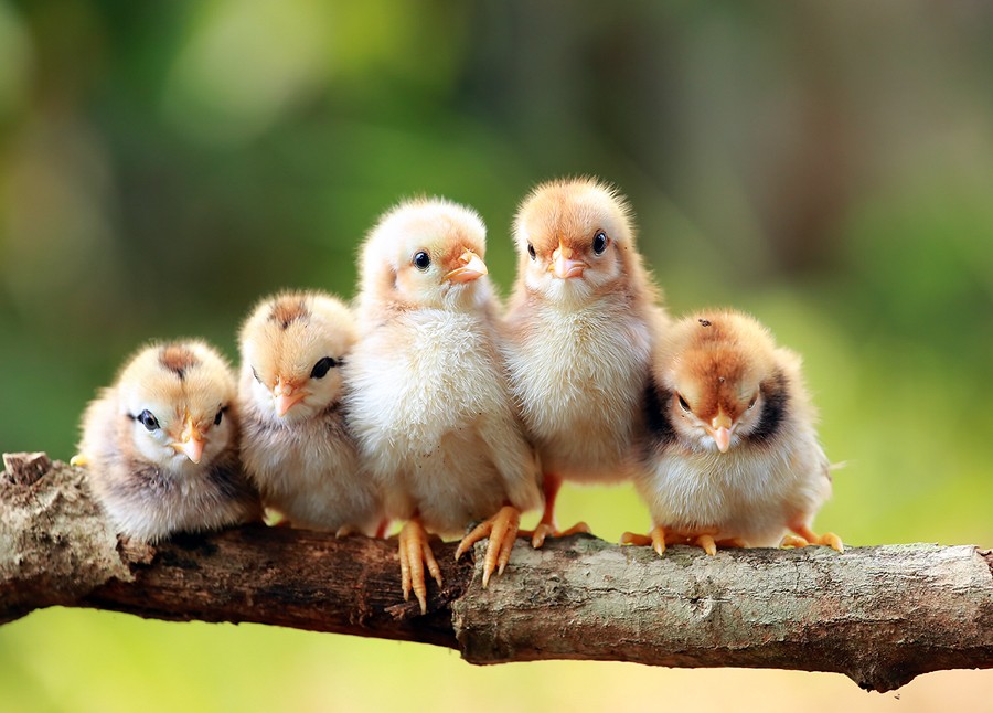 Photograph oo00o by Prachit Punyapor on 500px