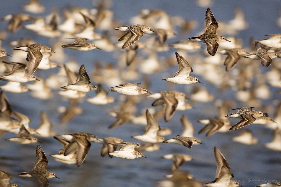 Photograph Harmony by Photosequence  on 500px