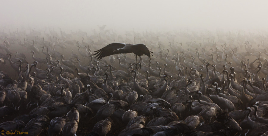 Photograph Left outside by Gilad Hazan on 500px
