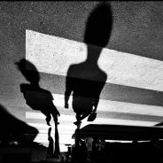 An Assortment of Shadow Images
