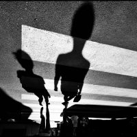 An Assortment of Shadow Images