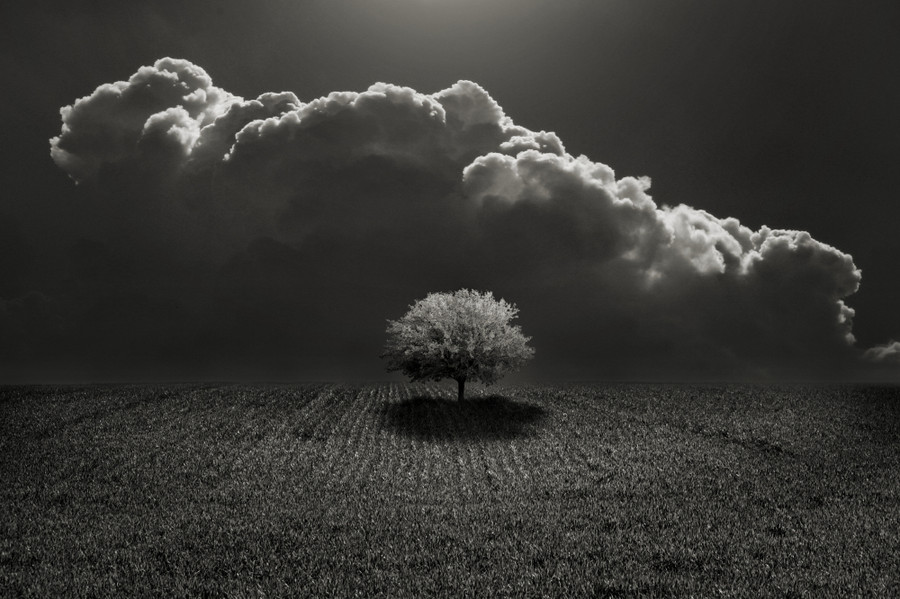 Photograph Light of Hope by Carlos Gotay on 500px