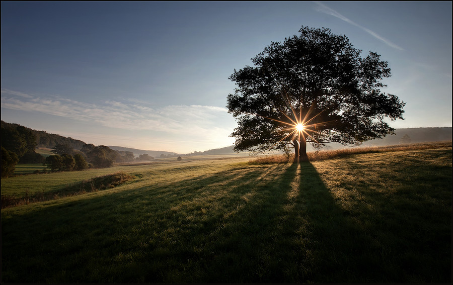 Photograph Morning sun by Birgit Pittelkow on 500px