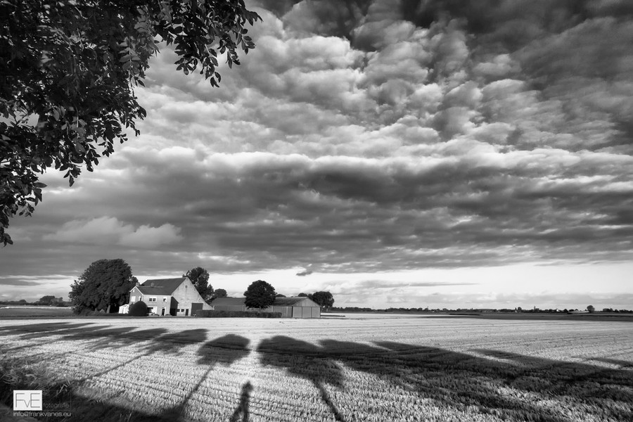 Photograph Untitled by Frank van Es on 500px