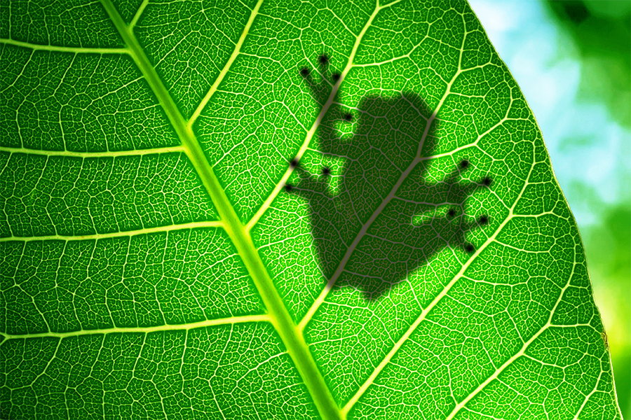 Photograph A Little Spy by Mostafa Ammar on 500px