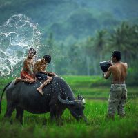 Collection of Photos that Make a Splash