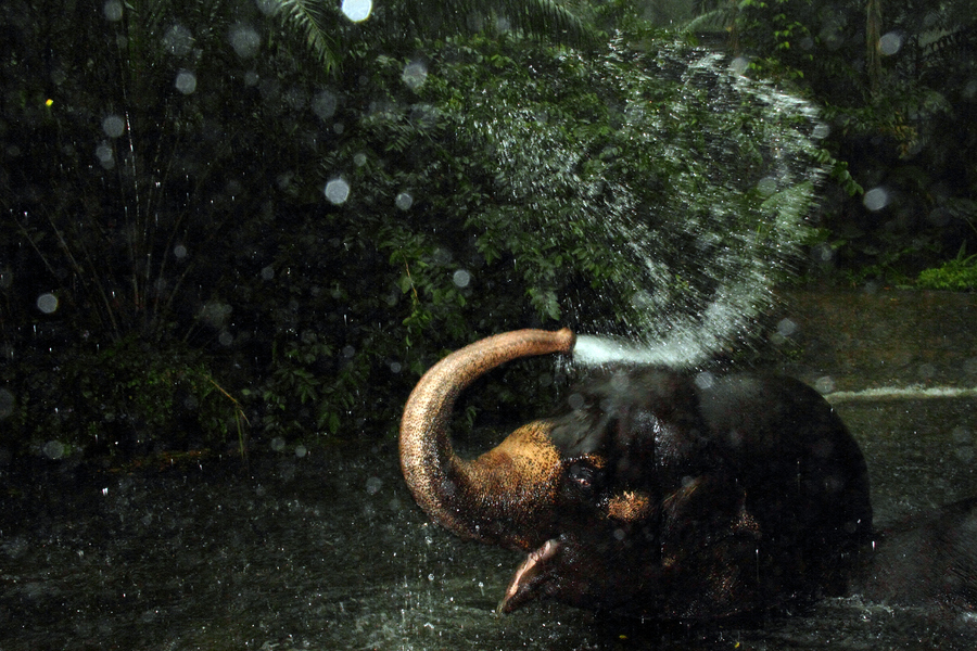 Photograph P366/294 bath time by Karen Elizabeth on 500px