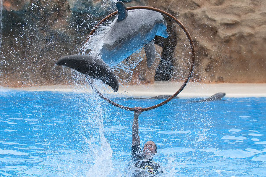 Photograph 1,2,3, ... Splash ! by Víctor J. Correa Nazco on 500px