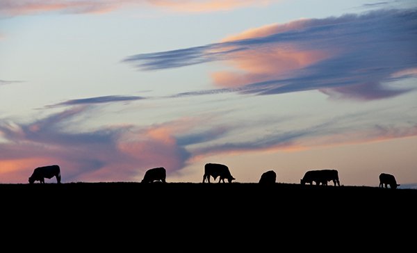 5939386215_2d2133ebcc_o