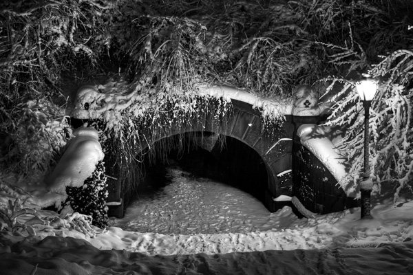 HDR in black and white, Central Park.