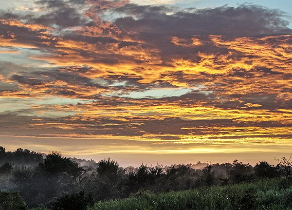 6022670360_25a65077ed_o