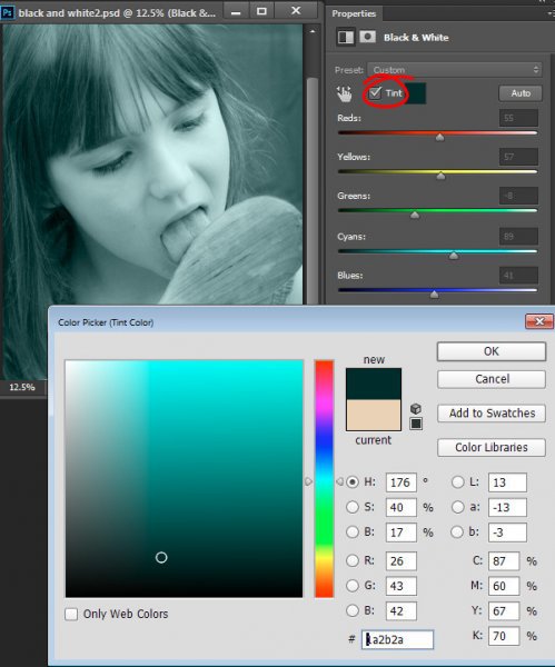 Black-and-white-in-photoshop-11