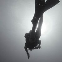 5 Tips for Underwater Photography Without Spending a Fortune