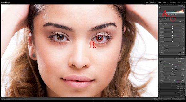 EyesBP-4.jpg EyesBP 4