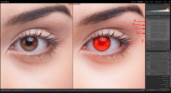 EyesBP-5.jpg EyesBP 5