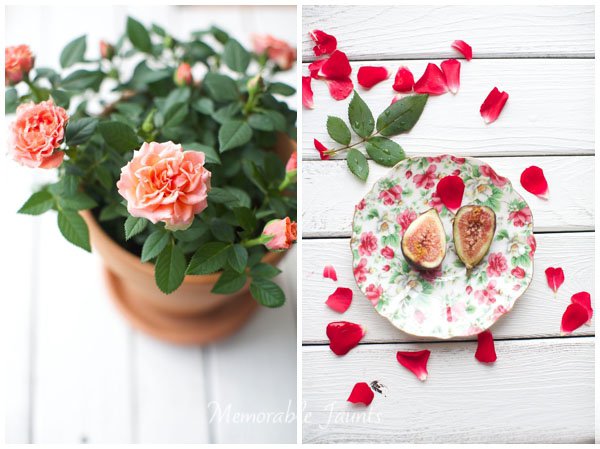 Indoor Portraits Using Diffusers and Reflectors to bounce light back Memorable Jaunts