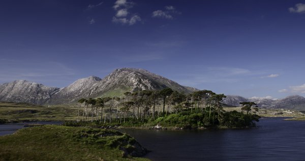 Picture1-Connemara1