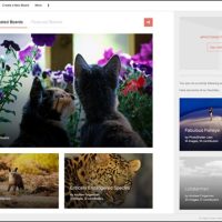 PhotoShelter introduces Pinterest-like photography curation service Lattice