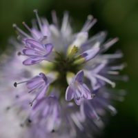 Weekly Photography Challenge Bird’s Eye View